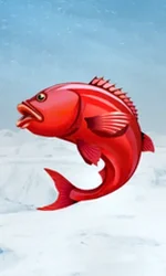 Ice Fishing